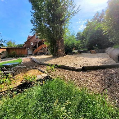 Pferdehof Am Burgsberg, Ferienzimmer, Monteurzimmer Seifhennersdorf Zewnętrze zdjęcie